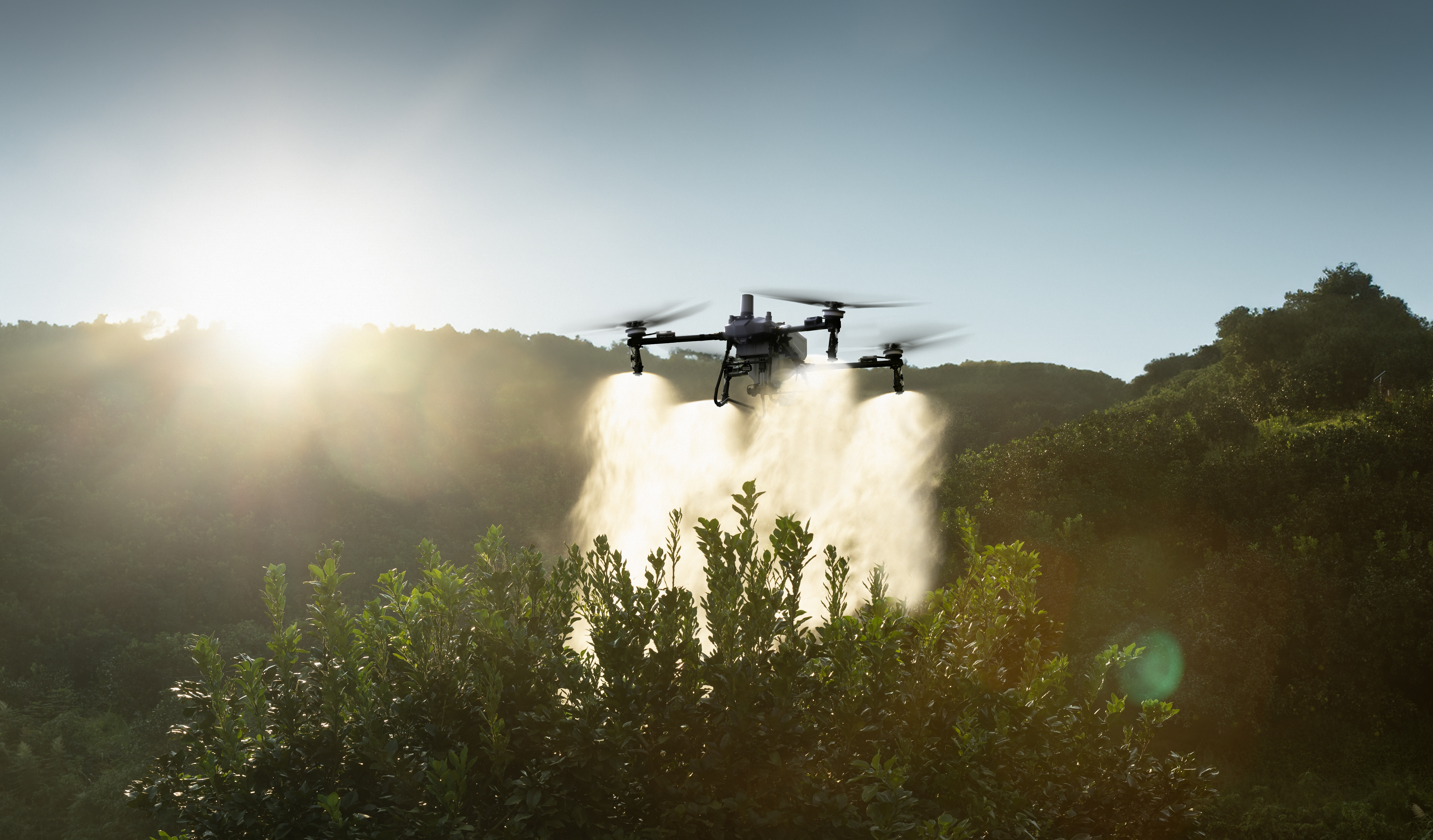 โดรนการเกษตรกำลังฉีดพ่นในแปลง